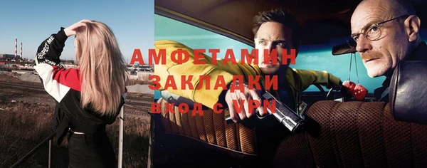 прущие грибы Иннополис