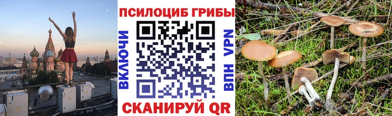 Купить закладки  Первоуральск  Галлюциногенные грибы Psilocybe 